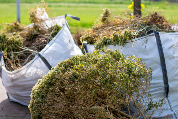 Best Shed Removal  in USA